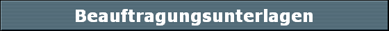Beauftragungsunterlagen